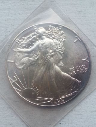 1988 99.  93% Silver Eagle Dollar photo