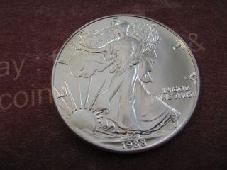 1988 Bu American Eagle Silver Dollar Coin photo
