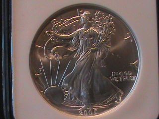 2005 American Eagle $1 Silver Ngc Ms 69 photo