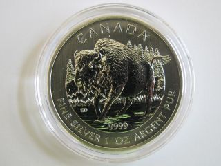 2013 Bu Silver Canadian Wood Bison Wildlife Series 1 Troy Ounce Oz In Airtite photo