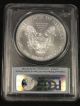 2011 American Silver Eagle Coin Struck At San Francisco First Strike Pcgs Ms69 Silver photo 2