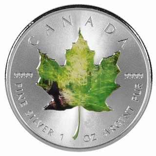 2014 Canada Maple Leaf 1 Oz 9999 Silver Coin Forest Colorized Maple Leaf Rare photo