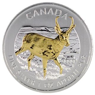 2013 1 Oz Ounce Silver Coin Pronghorn Antelope 24k Gold Gilded.  9999 Rare Rcm photo