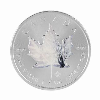2014 Canada Maple Leaf 1 Oz 9999 Silver Coin Winter Colorized Maple Leaf Rare photo