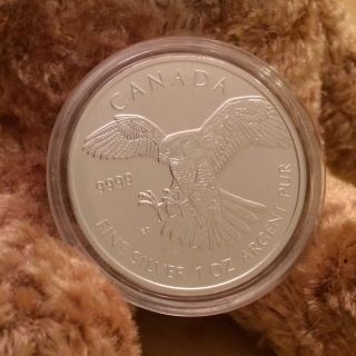 2014 Canada $5 1 Oz.  9999 Silver Bullion Bird Of Prey - Series - Falcon photo