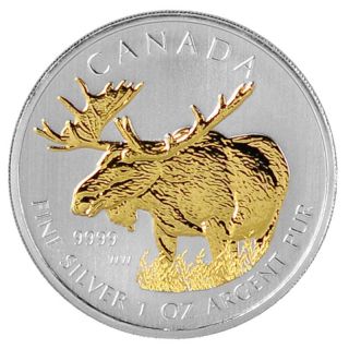2012 1 Oz Ounce Silver Canadian Moose Gold Gilded Silver Coin 24k.  999 Rare Rcm photo