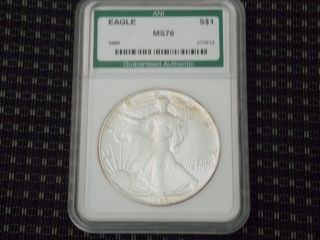 1986 Silver Eagle First Year Issue photo