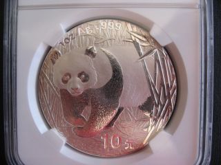 Bu Ms69 Ngc Certified 2002 China Panda 10 Yuan Silver Bullion Coin, .  999 Silver photo