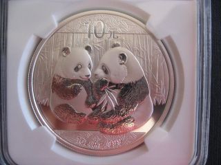 Bu Ms69 Ngc Certified 2009 China Panda 10 Yuan Silver Bullion Coin, .  999 Silver photo