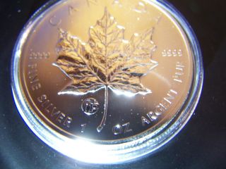 2013 Canada F15 Privy Mark - 1oz Silver Maple Leaf Coin With photo