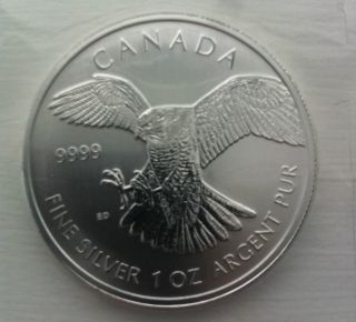 2014 Canada $5 Fine Silver Birds Of Prey - Peregrine Falcon Thermotron photo