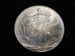 2009 American Eagle Silver Bullion 1 Oz.  999 Silver Uncirculated 1 Coin photo