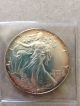 1987 Silver American Eagle With Natural Toning Silver photo 4