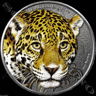 2013 Cameroon Leopard Colored African Big Five 1 Oz.  999 Silver Coin 1000 Francs photo