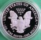 2008 American Silver Eagle Proof Dollar Us Ase Coin Only Silver photo 1