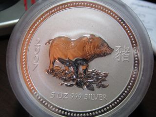 Australia - 2007 Lunar - Year Of The Pig - 5 Oz.  Ag,  - Low Mintage Of 3,  229 photo