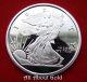 Solid Silver Round 1/2 (half) Oz Walking Liberty & Eagle Mirror Face.  999 Fine Bu Silver photo 4