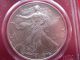 2005 Pcgs Silver Eagle Gem Bu Label Not Typical (1031) Silver photo 2