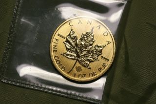 2013 1 Oz Gold Canadian Maple Leaf Coin - Brilliant Uncirculated - photo