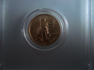 2003 Usa 5 Dollar Gold Eagle 1/10 Oz Coin photo