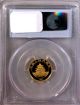 Ms69 Rare 1999 China Gold 10y Small Date Panda Pcgs Ms69 Gold photo 1