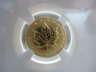 1982 Canada $5 Gold Maple Leaf - Ngc Graded Ms67 photo