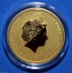 2014 Australian Lunar Year Of The Horse 1/4 Oz Gold Pure.  9999 Colorized Coin Australia photo 1