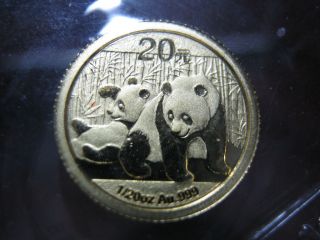 China - 2010 - Gold Panda - 1/20oz.  -.  999 Gold - photo