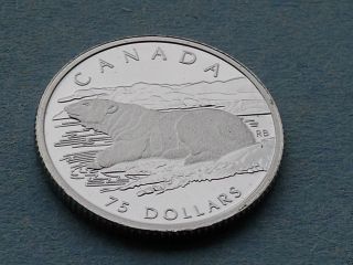 1990 Canada $75 Polar Bear.  999 Platinum 0.  25oz 7.  8g Pt Mintage Of 2629 Bateman photo