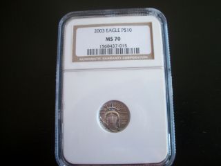 2003 $10 Platinum Eagle Ms70,  Ngc photo