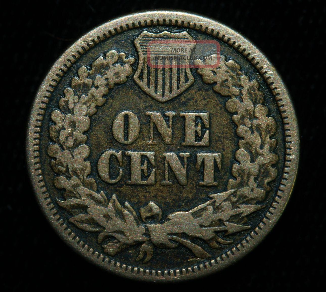 1862 indian head cent coin