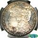 1881 - S Morgan Silver Dollar $1 Ngc Ms66 Cac Approved Lustrous Lovely Toning Dollars photo 1
