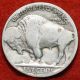 1920 - S Buffalo Nickel Nickels photo 1