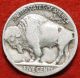 1919 - D Buffalo Nickel Nickels photo 1