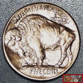 Brilliant Unc 1913 - S Type - I Buffalo Nickel Ms,  Ms,  Full Horn & Date,  Lustrous photo