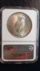 1934 P Ngc Ms64 Peace Silver Dollar $1 Liberty Head Philadelphia Dollars photo 2