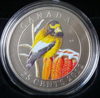 2012 - Canadian 25 Cents Colored Golden Evening Grosbeak Coin And photo