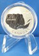 2013 $20 Iceberg And Whale - Fine Silver (99.  99% Pure) Coin - Limited Mintage Coins: Canada photo 1