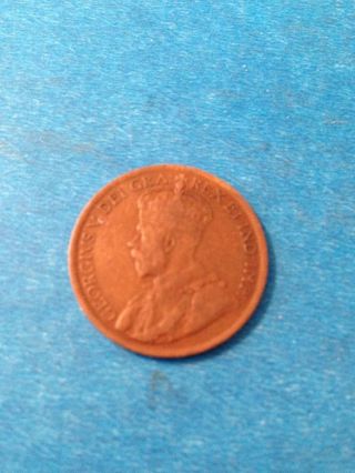 1919 Canada One Large Cent photo