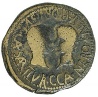 Ng Authentic Roman Bronze Coin Of Tiberius With Drusus & Nero Caesares I1416 photo