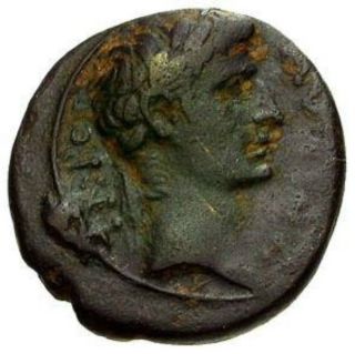 Ng Ancient Roman Bronze Coin Of Augustus Caesar With Sc On Reverse 29 Bc - 14 Ad photo