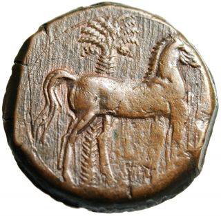 Zeugitania,  Carthage Ae 30 