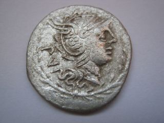 Roman Republic Denarius Of Family Lucilia,  101 B.  C. photo