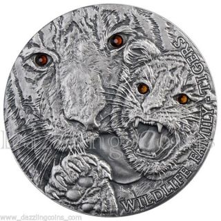 Tigers Wildlife Family Panthera Tigris Silver Coin 1$ 1 Oz Niue 2013 photo