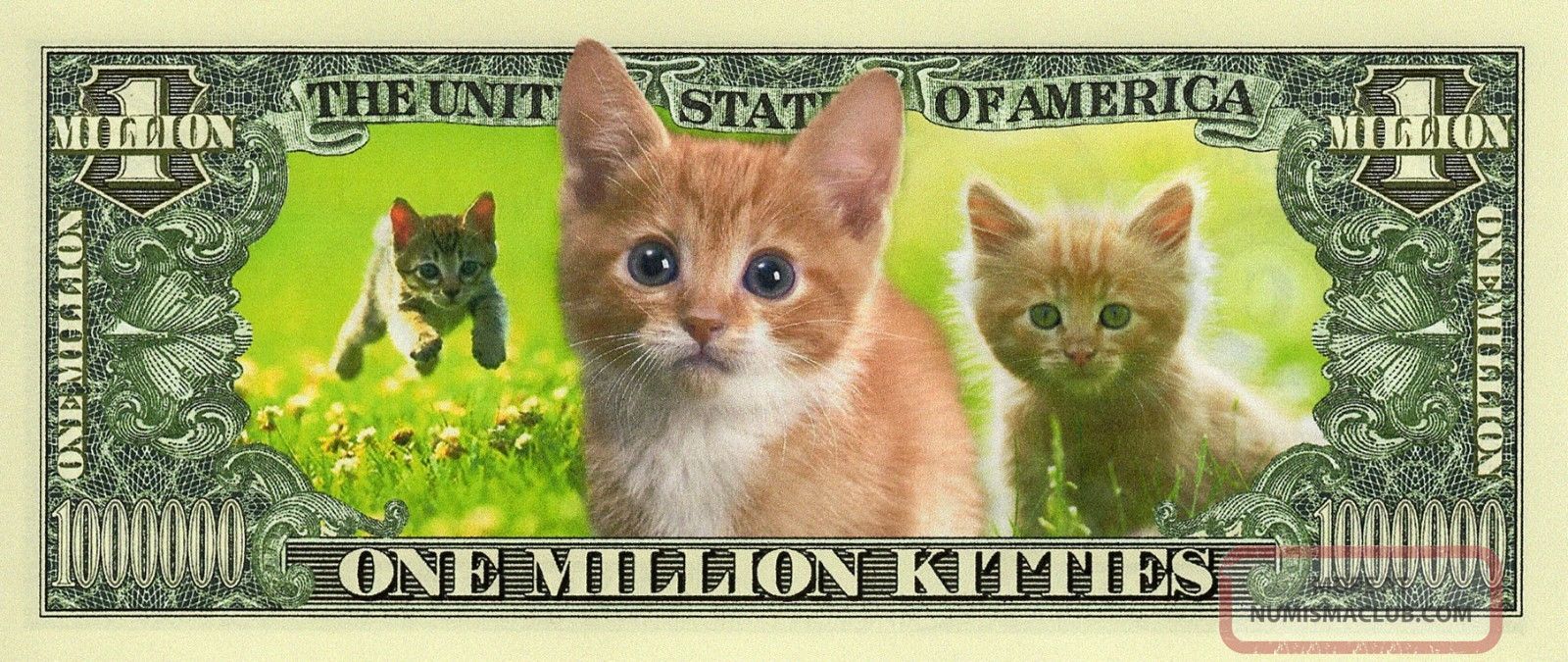 Kitty Cat One Million Dollar Bills, Fake Kitten Novelty Money, Kitties ...