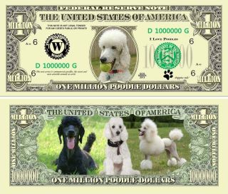 Poodle Puppy Dog Novelty One Million Dollar Bills,  Pet/animal Lover Funny Money photo