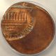Off - Center Lincoln Cent Error Nd - Anacs Ms64 Red Coins: US photo 3