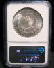 1884 - O Morgan Silver Dollar - Ngc Ms63 - O/o - Vam 10 - Top 50 008 Coins: US photo 2
