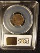 1901 Indian Head Cent,  Pcgs Ms64bn Small Cents photo 1