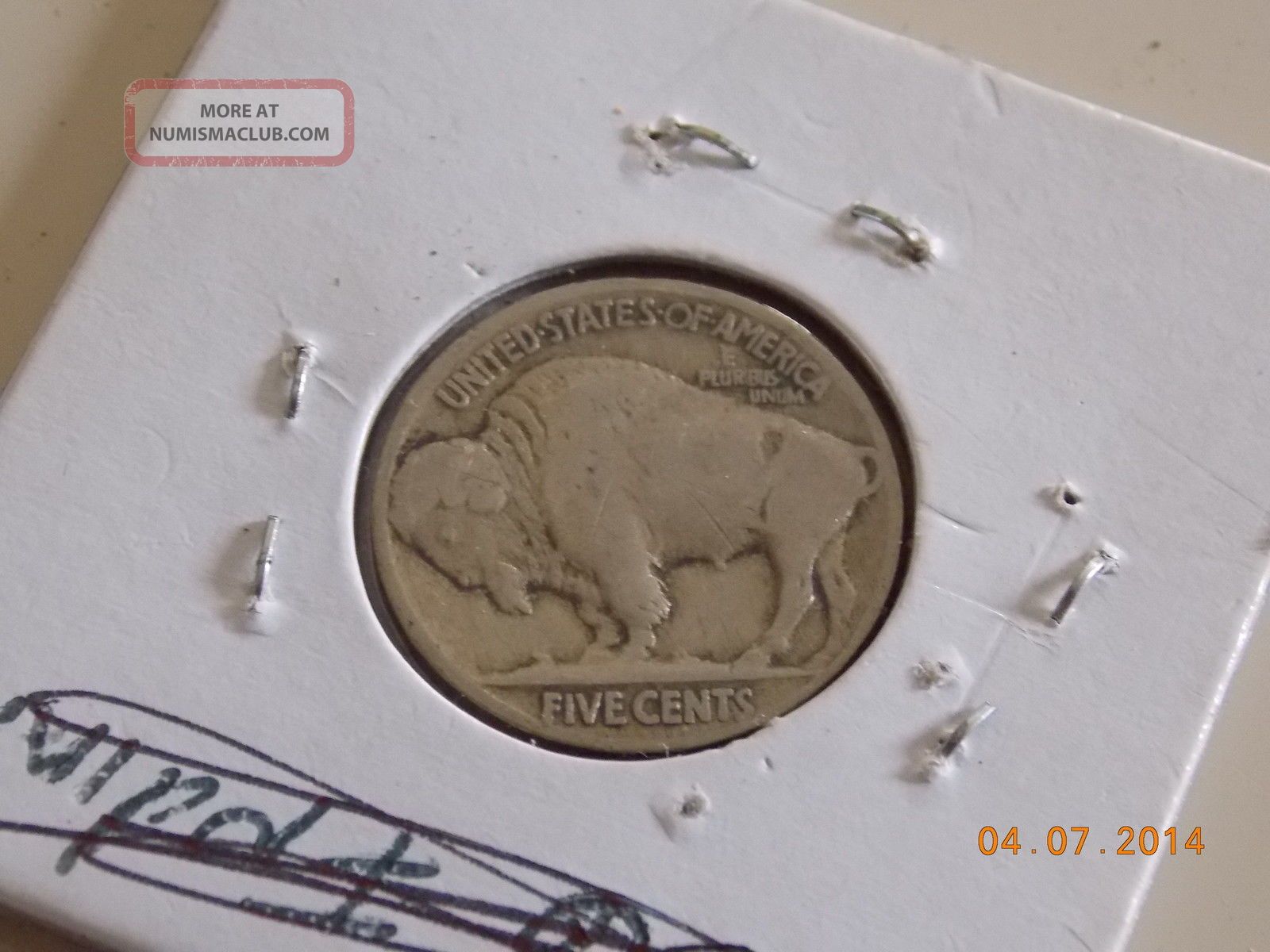 1919 5c Buffalo Nickel